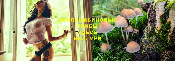 ПСИЛОЦИБИНОВЫЕ ГРИБЫ Балабаново