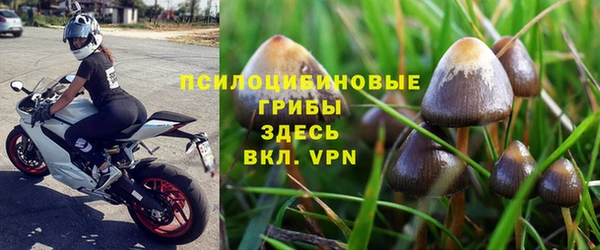 амфетамин Белокуриха