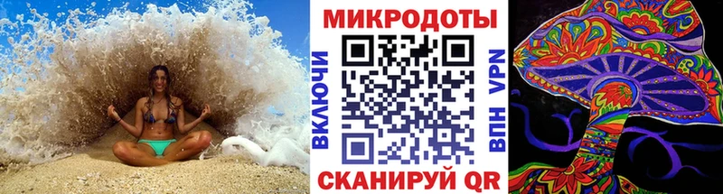 где можно купить   Волосово  omg зеркало  Псилоцибиновые грибы мухоморы 