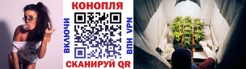 Бошки марихуана Bruce Banner Волосово